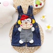 Summer Denim Overalls