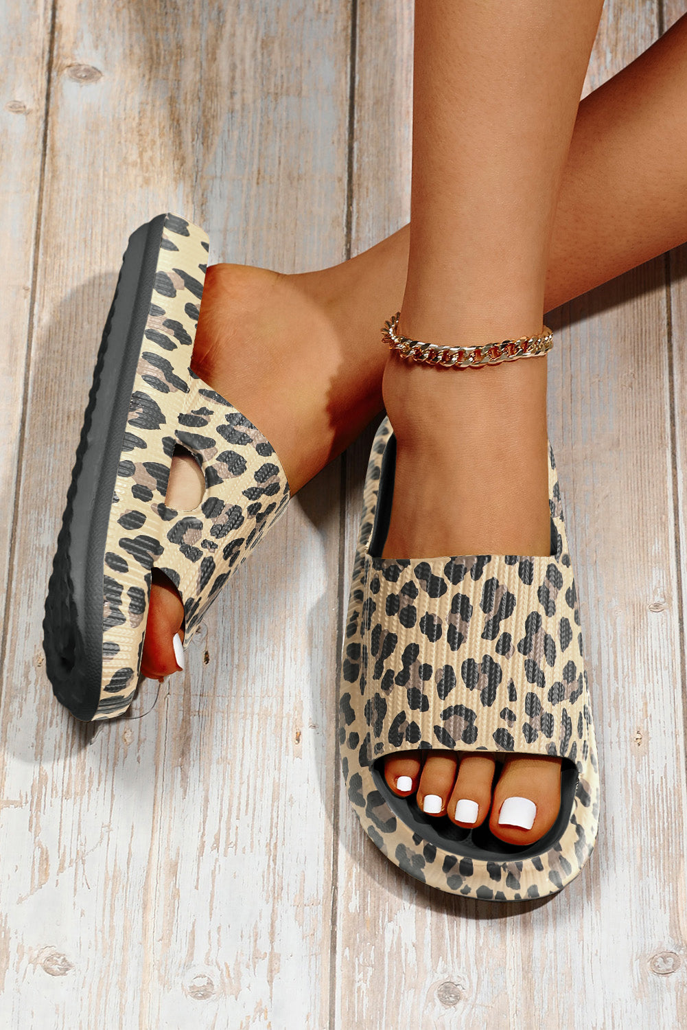 Leopard Cloud Slides