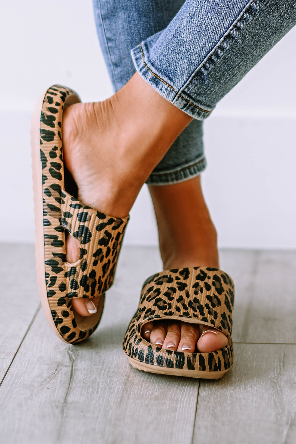 Leopard Cloud Slides