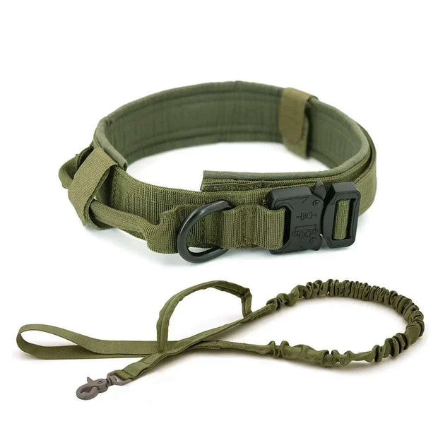 Heavy-Duty Dog Collar with Control Handle and D-Ring in Green Nylon