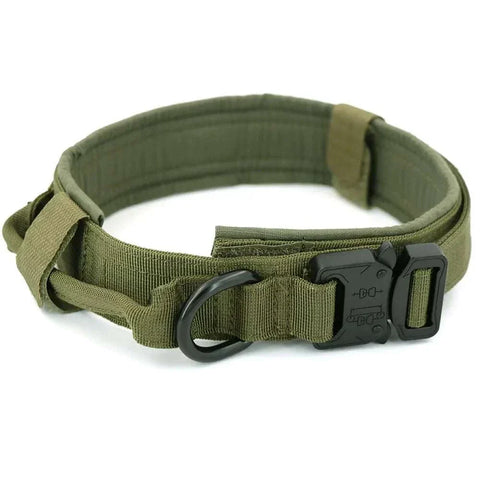 Heavy-Duty Dog Collar in green nylon with quick-release buckle, D-ring, and control handle.