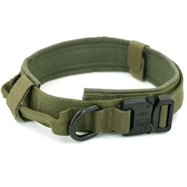 Heavy-Duty Dog Collar in green nylon with quick-release buckle, D-ring, and control handle.