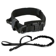 Heavy-duty dog collar with durable nylon, quick-release buckle, and control handle.