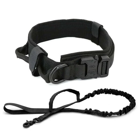 Heavy-duty dog collar with durable nylon, quick-release buckle, and control handle.