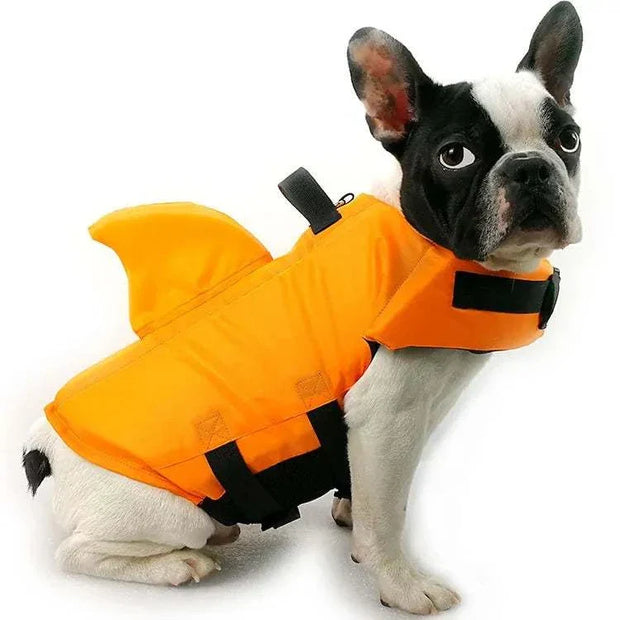 Dog wearing an orange life vest for water safety.