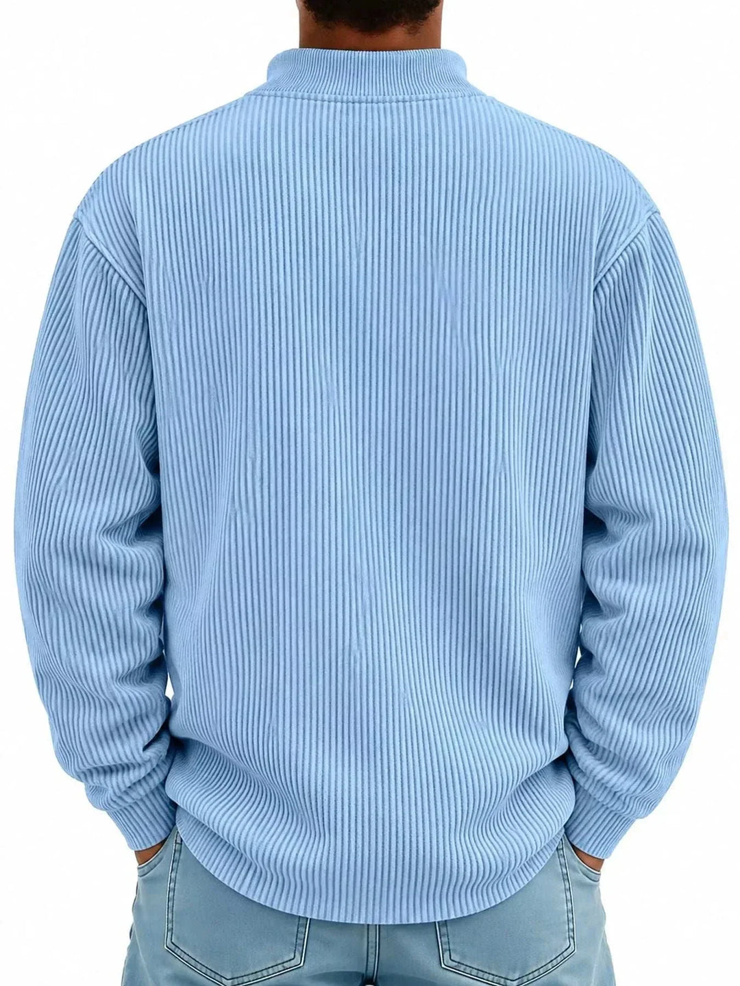 Men’s Plus Size Quarter-Zip Sweatshirt in light blue ribbed fabric, shown from the back with long sleeves and a raised collar