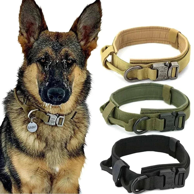 Heavy-Duty Dog Collar in various colors with a German Shepherd.