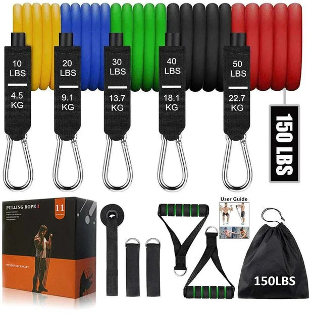 Fitness resistance bands set with color-coded bands, handles, door anchor, user guide, carrying case, and sturdy metal buckles for versatile workouts.