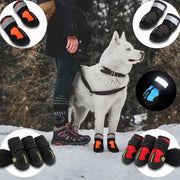 Waterproof reflective dog boots for comfort, safety, and style on outdoor adventures.