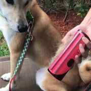 Pet hair remover brush grooming a dog outdoors.