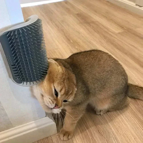 Cat enjoying corner groomer brush for self-grooming relaxation.