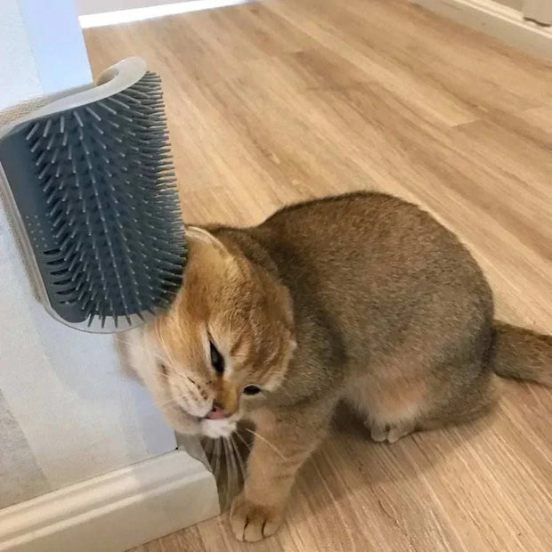 Cat enjoying corner groomer brush for self-grooming relaxation.