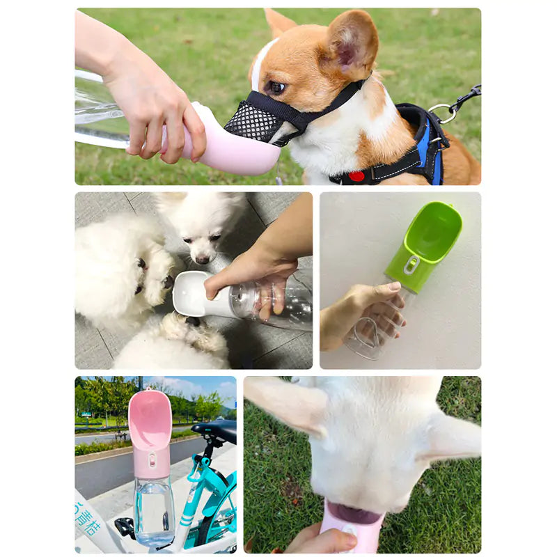 Dog Water Bottle Feeder