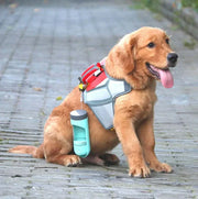 Portable dog drinker bottle attached to a dog's harness outdoors.